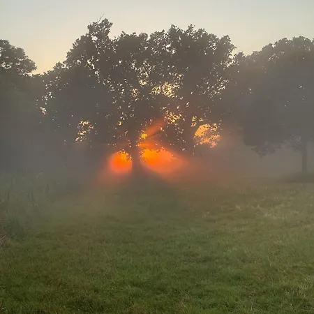 Charming By Forest & On Tasinge *