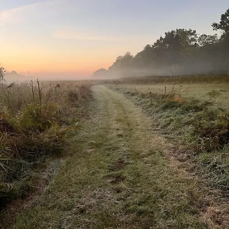 Feriehus Charming By Forest & On Tasinge Svendborg