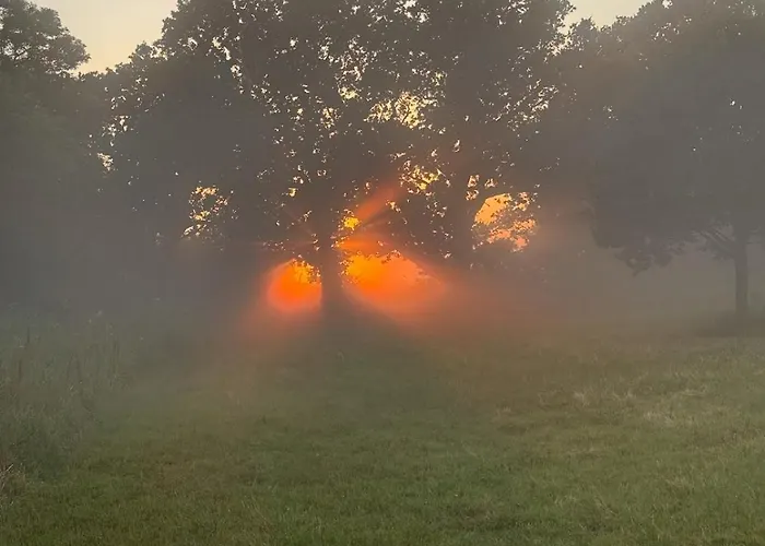 Charming By Forest & On Tasinge *