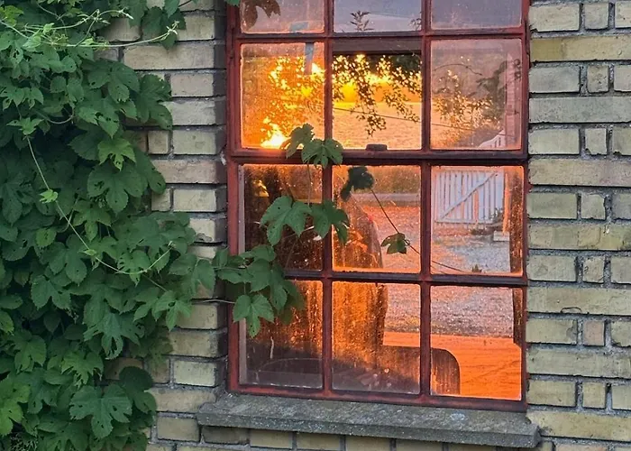 Charming By Forest & On Tasinge Tatil Evi Svendborg