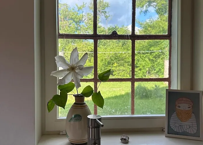 Tatil Evi Charming By Forest & On Tasinge *