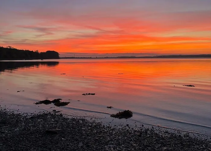 Tatil Evi Charming By Forest & On Tasinge