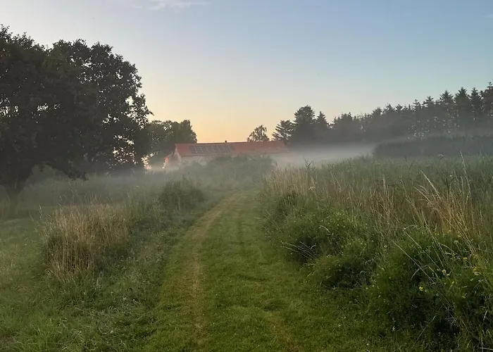 Charming By Forest & On Tasinge Svendborg